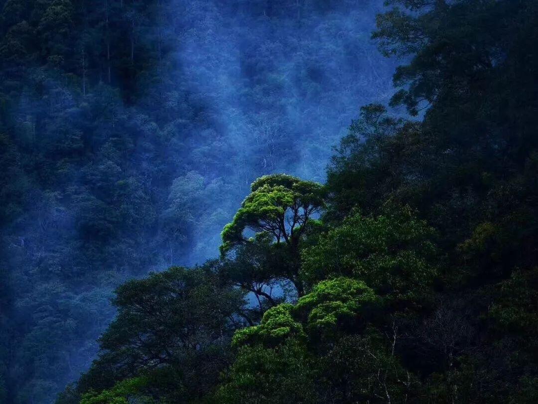 民间传说:姜维出世