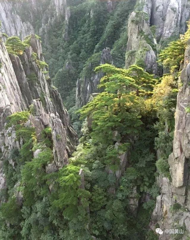 燃烧吧大脑装瓶子游戏